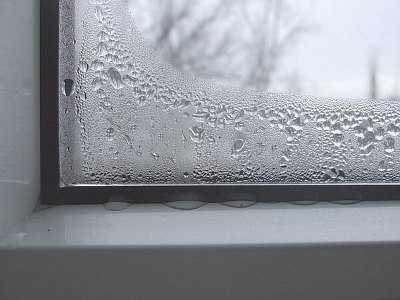 Как устранить конденсат на пластиковых окнах? Советы от экспертов Бэстокна Томск.